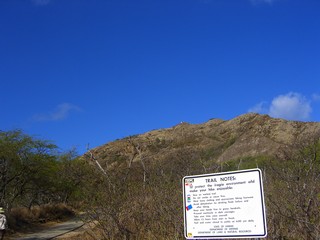 gazo